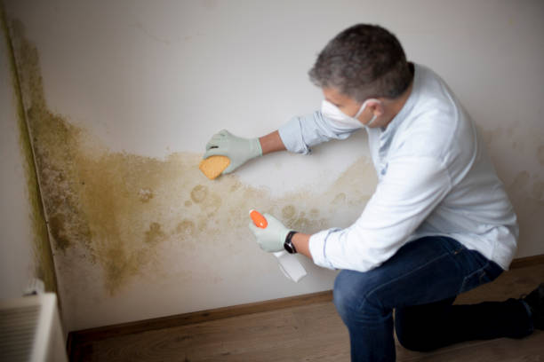 Best Forensic Mold Investigation  in Fair Lawn, NJ