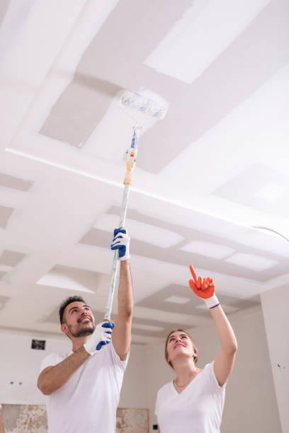 Best Emergency Mold Remediation  in Fair Lawn, NJ